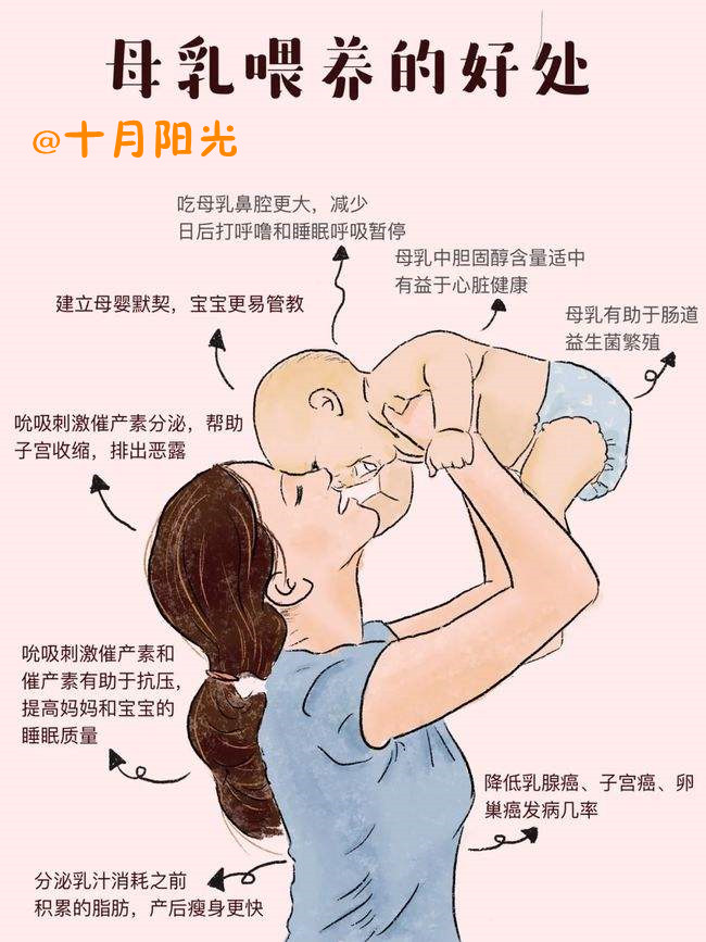 学催乳师的培训费是多少？证书是哪个部门颁发的？