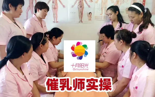 2026北京催乳培训价格：不同班型收费对比(图1)